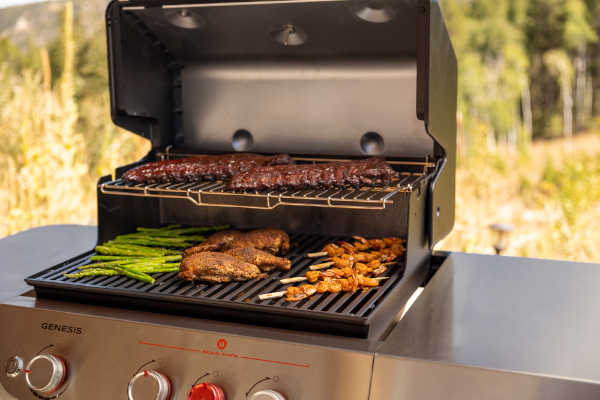 Grill gazowy Weber Genesis EPX-335W 1501909